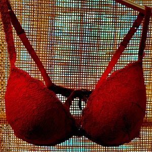 NWOT Cosabella Never Say Never Luckie Push Up Bra 36D